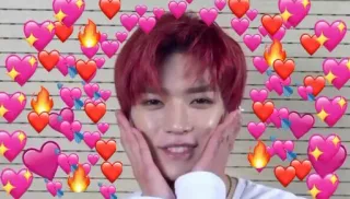🥒 amor, corazones, emociones, kpop, ídolo, afecto, retrato telegram sticker