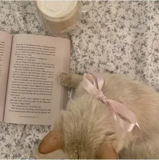 🌟 Katze, Buch, Kaffee, Lesen, Haustier, Haustier, Literatur telegram sticker
