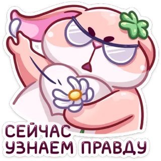 🌸 СЕЙЧАС УЗНАЕМ ПРАВДУ зайчик, цветок, милый, кролик, наклейка, серьезный, правда telegram sticker