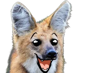 😄 cane, crisocione, volpe, animale, meme, cartone animato telegram sticker