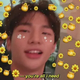 🌼 you're all I need kpop, idol, person, mann, blumen, honigtöpfe, liebe, zitat, inspirierend whatsapp sticker