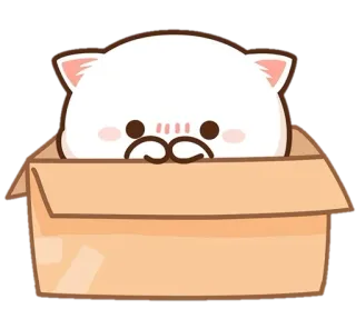 ✨ mèo, hộp, động vật, dễ thương, kawaii, mèo con telegram sticker
