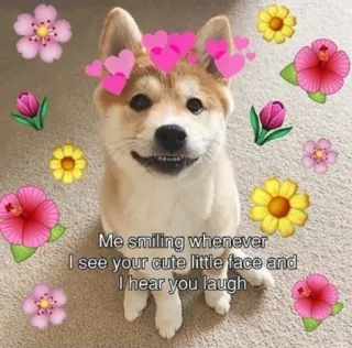 😁 Me smiling whenever I see your cute little face and I hear you laugh. hond, shiba inu, schattig, bloemen, hartjes, glimlachend, puppy telegram sticker