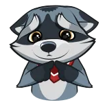 🥺 raton laveur, animal, mignon, dessin animé, supplier, implorer telegram sticker