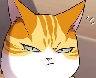 🐈 gato, animal, dibujo animado, pegatina, gracioso, naranja, mono telegram sticker
