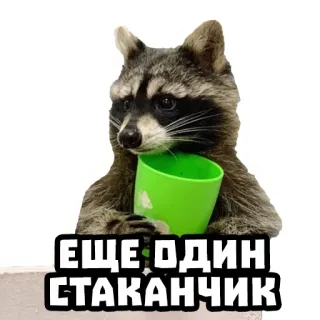 🍺 ЕЩЕ ОДИН СТАКАНЧИК mapache, taza, animal, lindo whatsapp sticker