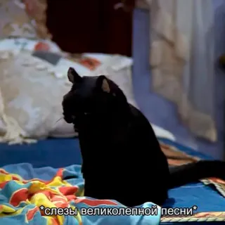 😻 *слезы великолепной песни* cat, black cat, crying, tears, song, russian telegram sticker