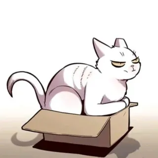 😟 고양이, 상자, 동물, 고양이과 telegram sticker