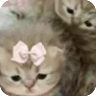 ❤ whatsapp sticker