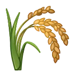 🌾