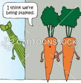 😨 I think we're being stalked. Cartoon, Gemüse, Stalking, Sellerie, Karotten, Humor whatsapp sticker