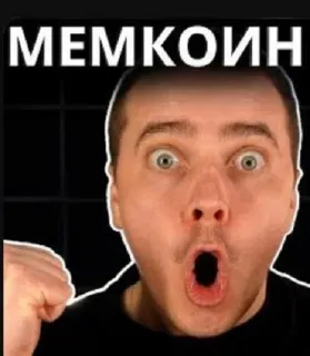 🙄 МЕМКОИН telegram sticker