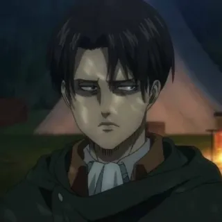 🙂 Levi Ackerman Attack on Titan anime, levi, attack on titan, manga, character telegram sticker