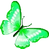 🦋