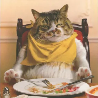 😐 Katze, Tier, Essen, Abendessen, Tisch, Teller, Essen, lustig telegram sticker