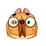 Harry The Frenchie telegram stickers