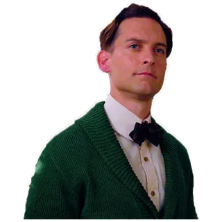 🎩 Tobey Maguire acteur, célébrité, portrait, homme, spider-man, tobey maguire telegram sticker