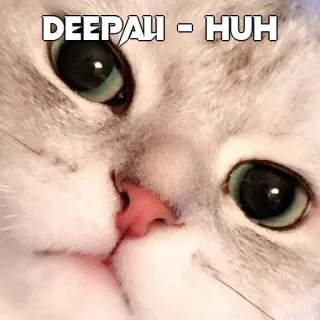 🤔 DEEPALI - HUH kat, dier, schattig, meme telegram sticker