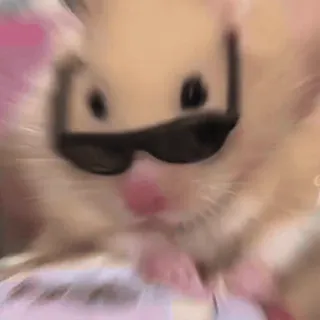 😎 ハムスター, サングラス, かっこいい, 動物, げっ歯類, ペット telegram sticker