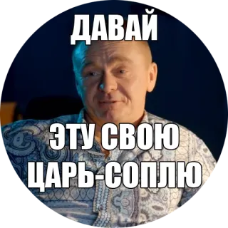 🎷 ДАВАЙ
ЭТУ СВОЮ
ЦАРЬ-СОПЛЮ russo, meme, divertente, espressione telegram sticker
