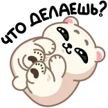😏 niedźwiedź, zwierzę, słodki, kreskówka, naklejka telegram sticker