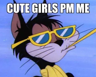 😎 CUTE GIRLS PM ME gatto cartoon, occhiali da sole, divertente, meme, richiesta, ragazze carine whatsapp sticker