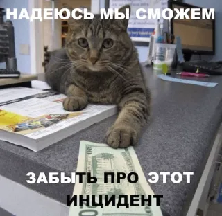 🕵 null НАДЕЮСЬ МЫ СМОЖЕМ ЗАБЫТЬ ПРО ЭТОТ ИНЦИДЕНТ telegram sticker