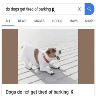 😒 do dogs get tired of barking K
Dogs do not get tired of barking K perro, ladrido, animal, mascota, pregunta, motor de búsqueda telegram sticker