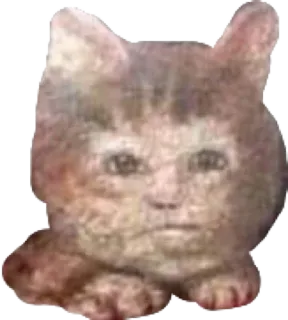 😐 cat, animal, pet, funny, creature, cute telegram sticker
