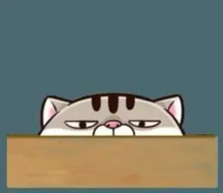 👀 Katze, Tier, süß, Aufkleber, Cartoon telegram sticker