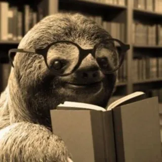 🤓 bradipo, animale, leggere, libro, occhiali, biblioteca, nerd, carino telegram sticker