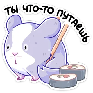 😬 Ты что-то путаешь Chinchila, Sushi, Fofo, Animal, Adesivo, Comida whatsapp sticker