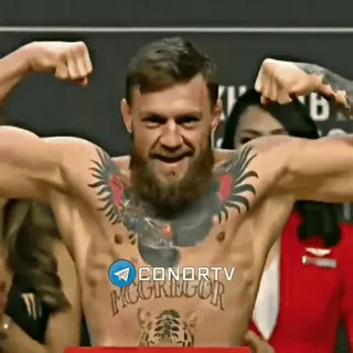 🦁 Conor McGregor CONOR TV MCGREGOR MMA, UFC, fighting, sports, athlete telegram sticker