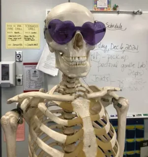 😁 FIRE DRILL
TORNADO
ORILL
Schedule
day, Dec 6, 2021
-Pickup
pectral girdle Lab!
Joints
0pts
THE esqueleto, anatomia, sala de aula, educação, ciência, ossos, coração óculos de sol telegram sticker