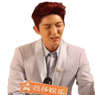 😖 苗莎娱乐 person, man, celebrity, entertainment, formal, portrait telegram sticker