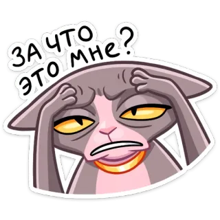 😖 зачем это мне? 고양이, 질문, 러시아어, 스티커, 만화 telegram sticker
