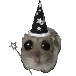 🪄 햄스터, 마법사, 마법, 귀여운, 동물, 애완동물, 모자, 별 whatsapp sticker