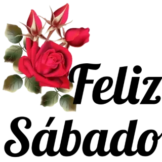 😊 Rose, Blume, Rot, Blumenmuster, Natur, Blüte whatsapp sticker