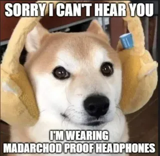 😒 SORRY I CAN'T HEAR YOU
I'M WEARING
MADARCHOD PROOF HEADPHONES 개, 헤드폰, 웃긴, 밈, Madarchod whatsapp sticker