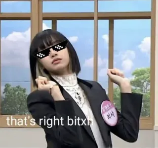 😎 that's right bitxh Meme, Slang, Humor, Sonnenbrille, Offensiv telegram sticker