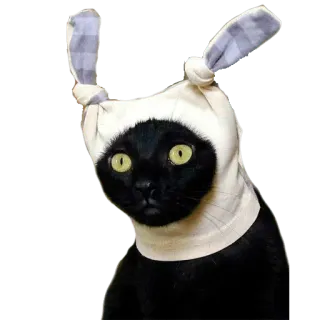 🤡 cat, bunny, easter, animal, pet telegram sticker