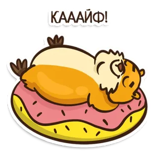 🍩 КАААЙФ! Cochon d'Inde, Donut, Dessin animé, Joyeux, Mignon, KAAYF whatsapp sticker