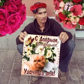🌞 С добрым утром!
Удачного дня! russe, bonjour, positif, chat, fleur, salutation telegram sticker