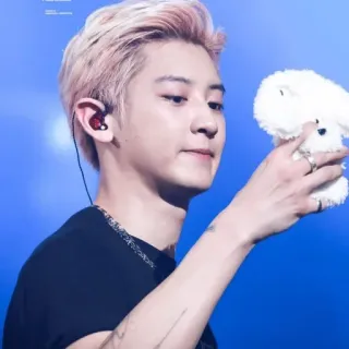 🐻 kpop, idole, célébrité, chanteur, asiatique, homme, portrait telegram sticker