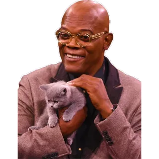 😘 Samuel L. Jackson 고양이, 새끼 고양이, 배우, 유명인, 안경 whatsapp sticker