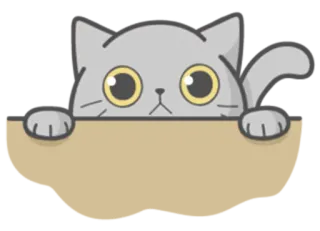 😐 kat, sticker, schattig, dier, cartoon telegram sticker