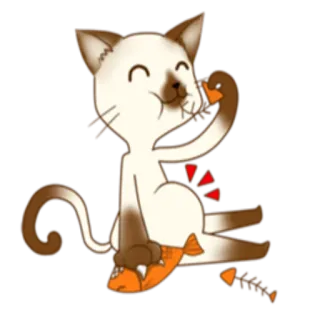 🍲 gatto, gatto siamese, pesce, animale, cibo, cartone animato, mangiare, carino whatsapp sticker