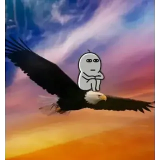 ☹️ Menhera-chan bald eagle, flying, sitting, sky, sunset, funny, whimsical, bird, cute telegram sticker