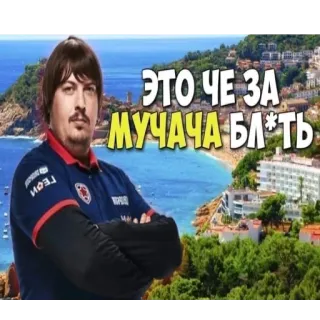 🤔 ЭТО ЧЕ ЗА МУЧАЧА БЛ*ТЬ whatsapp sticker