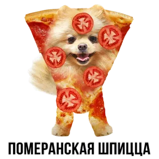 🐶 ПОМЕРАНСКАЯ ШПИЦА cane, pizza, pomerania, cibo, divertente, carino telegram sticker
